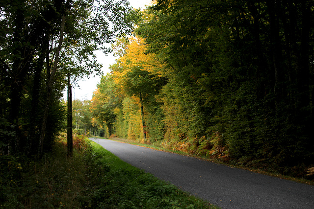 couleur d'automne