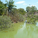 Crocodylus Park