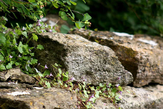 A Wall in Reybridge No. 3