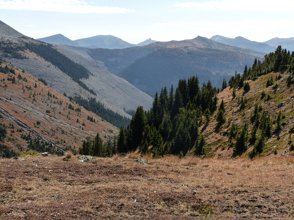 Plateau Mountain, Kananaskis