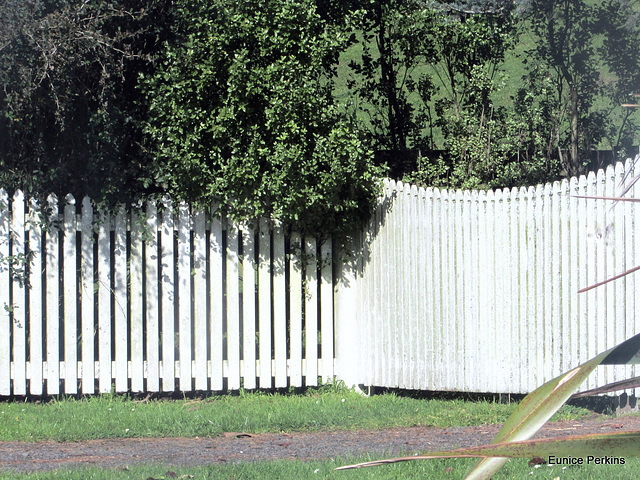 White Fence