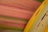 DSCF8787