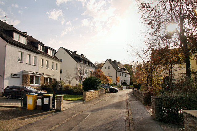 Kühnstraße (Dortmund-Brünninghausen) / 8.11.2020