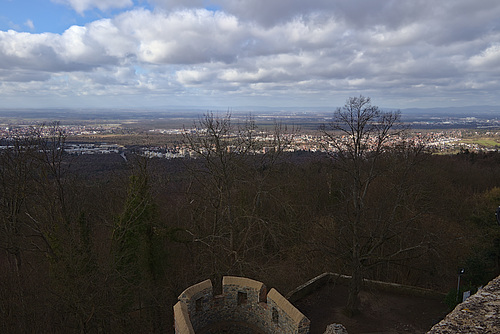 img 0009