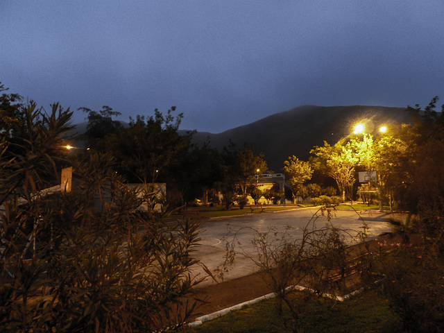 benches at dusk