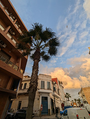 Un coup d'oeil coloré sur ce coucher de cocotiers....