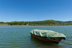 am Klingnauer Stausee (© Buelipix)