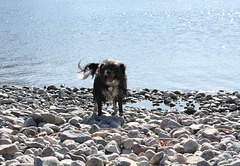 Berta's beach day