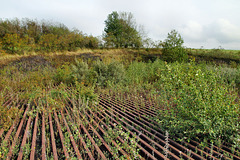 Das "Schienenplateau" auf der Halde Rungenberg (Gelsenkirchen-Buer) / 18.08.2019