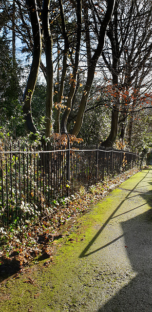 Path railings