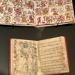 Museum Volkenkunde 2021 – Codex Tonindeye/Zouche-Nuttall
