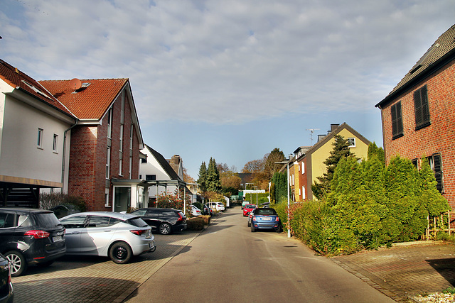 Gersdorffstraße (Dortmund-Brünninghausen) / 8.11.2020