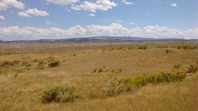 On US 40  /Paysage de l'autoroute 40