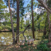 Deux bancs a l'abandon / Due panchine in disuso