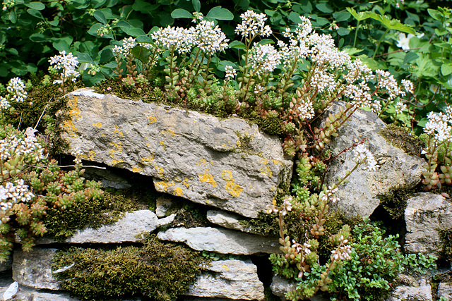 A Wall in Reybridge No. 2