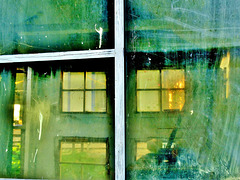 Windows and Through Them 6