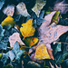 Mixed leaves the edges of the ring road, with a border of ice.