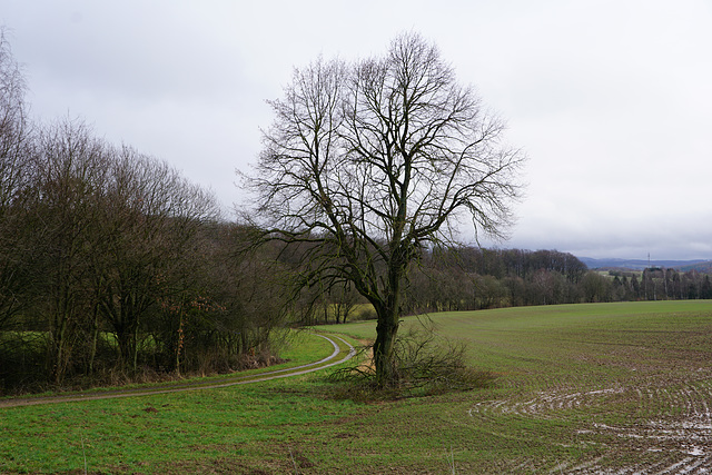 Zwischen den Schauern