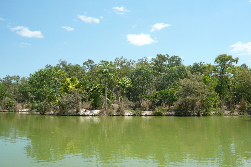 Crocodylus Park