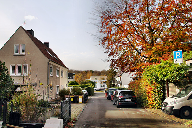 Gersdorffstraße (Dortmund-Brünninghausen) / 8.11.2020