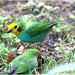 EF7A1753-topaz-denoiseraw -1bird