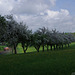 BÖ0034200