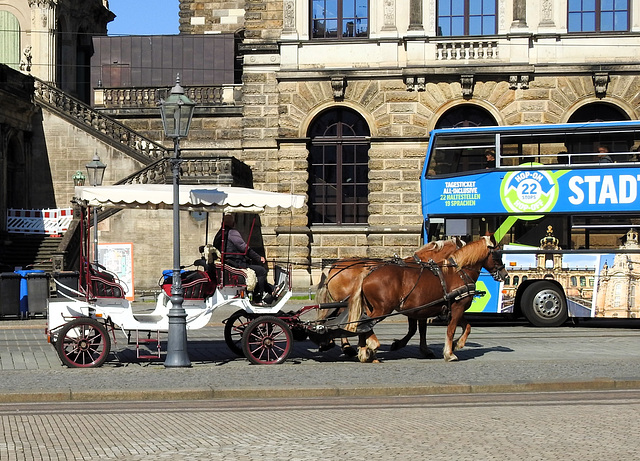 Stadtrundfahrt, Dresden