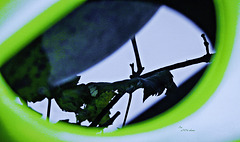 Giesskannen-Spiegelung Giesskannen-Spiegelung