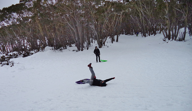 Mt Baw Baw day trip