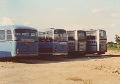 509 Premier Travel Services rear ends at Premier Park - 6 Jul 1985