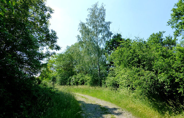 Auf dem Weg zum Flugplatz