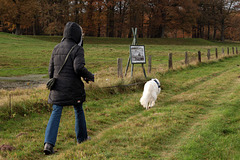 Otto Pankok Rundweg