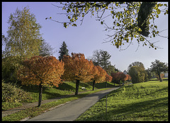 Herbstfarben am Kirchenweg