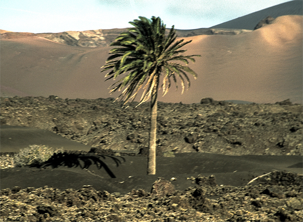 Lanzarote