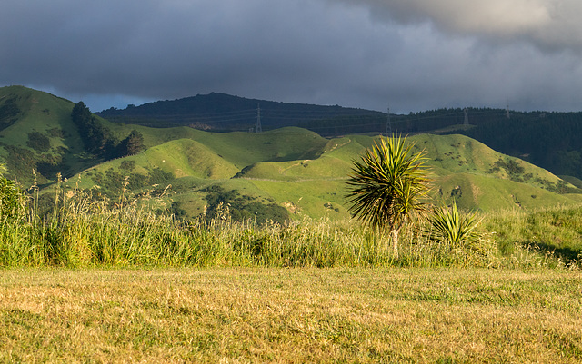 Neuseeland - Queen Elizabeth Park