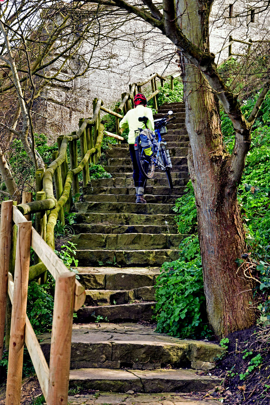 Mountain Bike!