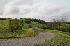 Halde Rungenberg, Gelsenkirchen-Buer / 18.08.2019