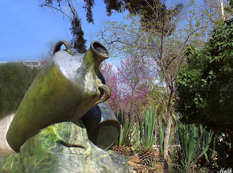 Au parc de  sidi bel abbes.