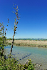 an der Aare beim Klingnauer Stausee (© Buelipix)