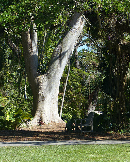 Fairchild Tropical Botanic Garden (1) - 3 March 2018