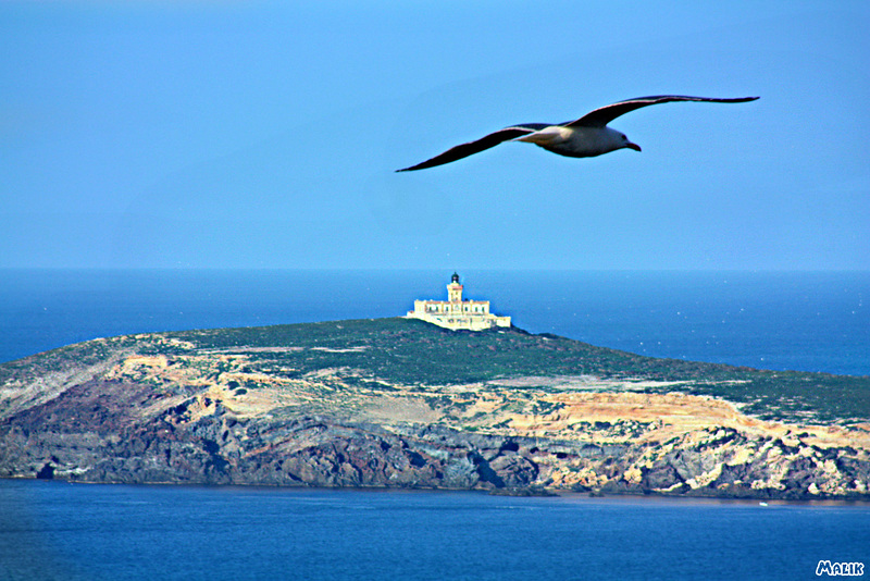 Phare de l'île Rachgoun