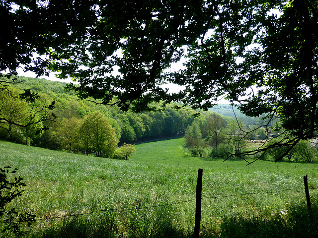 Auf dem Wanderweg Nr. 10