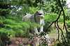 crystal palace dinosaurs, london