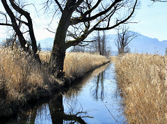 Zufluss zum Chiemsee