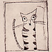 Cat 2