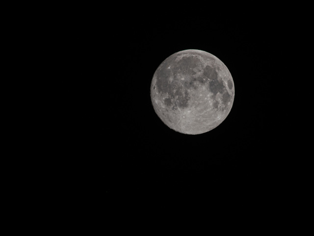 Lenzmond, Worm Moon (Wurmmond) oder Krähenmond