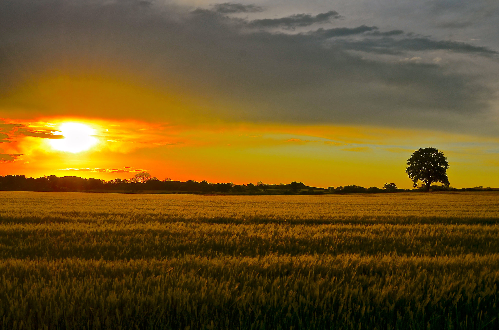 Gnosall sunset