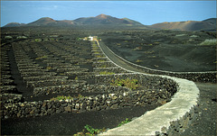 La Geria.Lanzarote