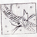 Cat 3