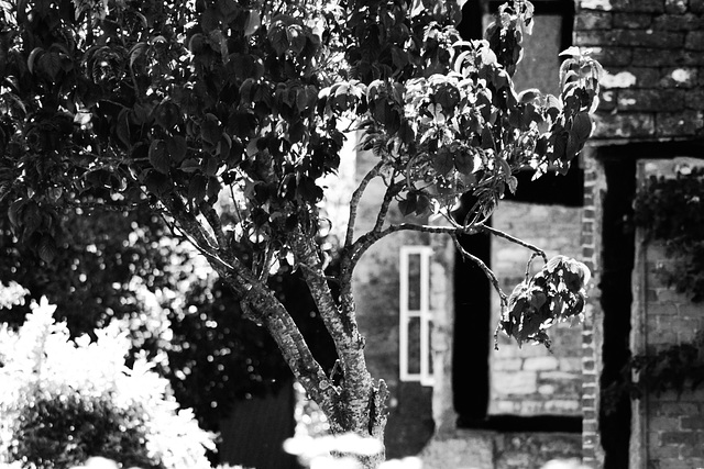 Steeple Ashton - Near the Church